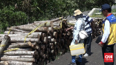 img-title Pembalakan Liar di Waduk Jatibarang Semarang, BBWS Diduga Terlibat