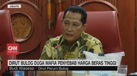 VIDEO: Dirut Bulog Duga Mafia Penyebab Harga Beras Tinggi