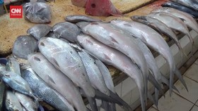 VIDEO: Jelang Imlek Ikan Bandeng Diburu Pembeli. Harga Meroket