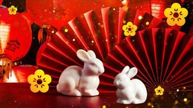 Deret Artis K-Pop yang Lahir di Tahun Kelinci