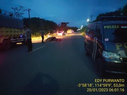 Pemotor di Kalsel Tewas Tabrak Kerbau yang Sedang Menyeberang Jalan