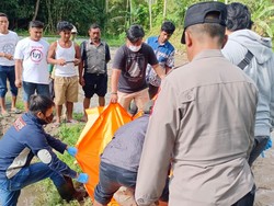 Pria di Blitar Tewas Setelah Terjatuh dari Pohon Petai