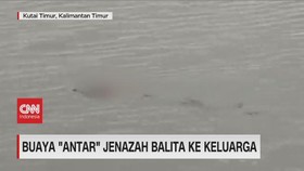 VIDEO: Buaya 