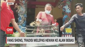 VIDEO: Fang Sheng, Tradisi Melepas Hewan Ke Alam Bebas