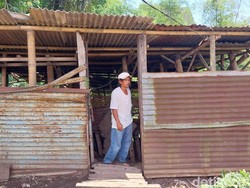 Maling Gondol 6 Kambing-10 Ayam di Kota Malang, Hanya Sisakan Ceceran Darah