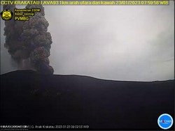 Gunung Anak Krakatau Sudah 7 Kali Erupsi Pagi Ini