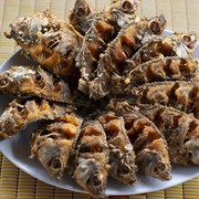 7 Ikan Air Tawar Tinggi Protein untuk Bantu Pelihara Sel dan Jaringan Tubuh, Yuk Mulai Konsumsi!