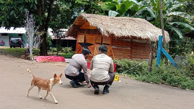 Kabid Humas Polda Papua Kombes Ignatius Benny mengatakan ada yang melempar bom di dekat rumah Victor Mambor, di Distrik Jayapura Utara, Kota Jayapura.