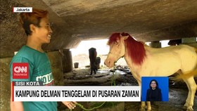 VIDEO: Sisi Kota: Kandang Delman di Kolong Tol Dalam Kota