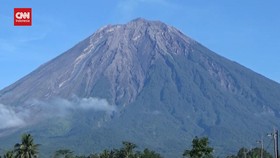 VIDEO: Gunung Semeru Erupsi, Kolom Abu Mencapai 800 Meter