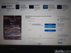 Sebotol Air dari Wahana Disney Dilelang, Ada yang Berani Nawar Ratusan Juta