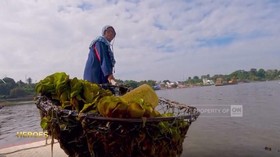 VIDEO: Mengubah Citra Buruk Kampung Halaman