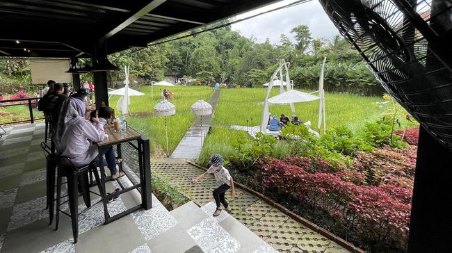 Apabila berniat mengunjungi tempat wisata menarik ini, simak informasi lokasi, fasilitas, dan harga tiket Kopi Tubing Bogor.