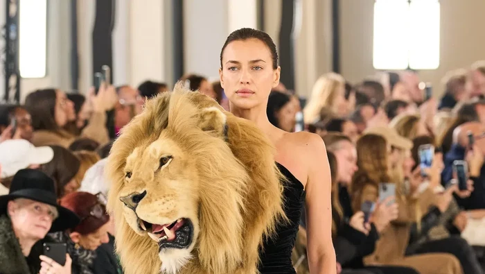 Schiaparelli haute couture spring 2023