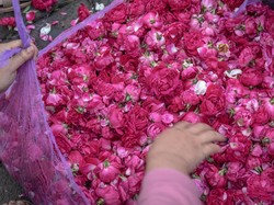 Asal-Usul Nyadran, Tradisi Ziarah ke Kubur Leluhur Jelang Ramadan