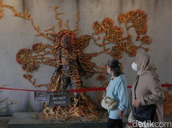 Fakta Mengerikan Ophiocordyceps, Jamur di Series The Last Of Us