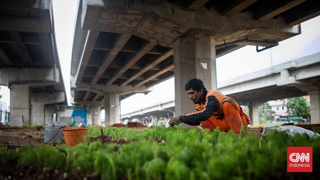 FOTO: Urban Farming di Kolong Tol Becakayu