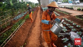 FOTO: Urban Farming di Kolong Tol Becakayu