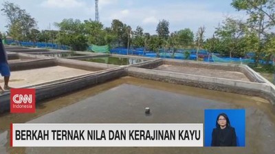img-title VIDEO: Berkah Dari Ternak Nila Dan Kerajinan Kayu