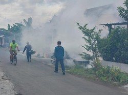 20 Warga Madiun Terserang Chikungunya, Dinkes Gencar Lakukan Fogging