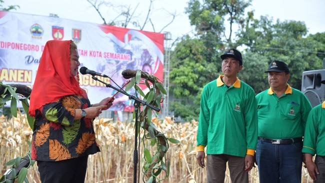 Pemerintah Kota Semarang antara lain melaunching Badan Usaha Milik Petani (BUMP) Lumpangsemar Sejahtera sekaligus mengukuhkan Organisasi Petani Vanili.