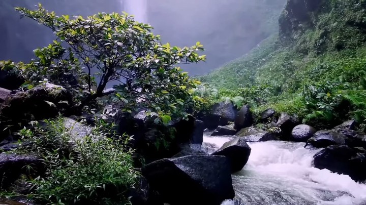 Rumah di Curug