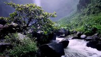 <p>Lelah Bunda akan terbayarkan karena air terjun dan sungai di sana terlihat sangat bening, meski sedang musim hujan. Suasana di desa ini terlihat sangat sejuk dan damai, ya, Bunda. (Foto: YouTube Jejak Bang Ibra)</p>
