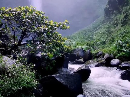 5 Potret Rumah di Tengah Hutan Kaki Gunung Slamet, Sejuk Damai Air Terjun