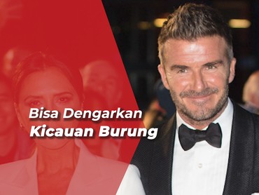 img-title Tuan Rumah yang Baik, David Beckham Bangun Toilet Rp112 M Demi Tamu