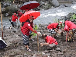 Peringati Ultah Partai, PDIP Tanam Ratusan Pohon di Tepian Yeh Sungi