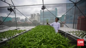 FOTO: 'Smart Farming' di Atap Masjid Asy-Syifa RSCM