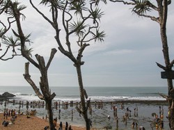 Pantai Kukup Gunungkidul Yogya: Letak, Harga Tiket, dan Daya Tarik