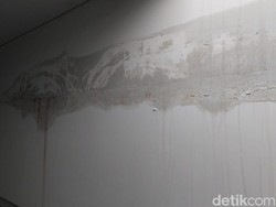 8 Cara Ampuh Mengatasi Dinding Rembes saat Musim Hujan