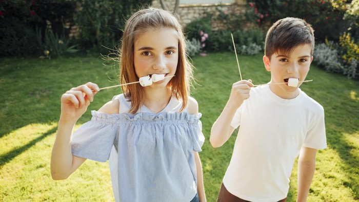 The Marshmallow Experiment/ Foto: Freepik/freepik