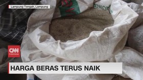 VIDEO: Harga Beras Terus Naik