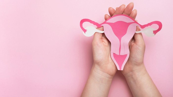 Woman hands holding decorative model uterus on pink background. Top view, copy space