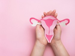 Uterus Adalah: Arti dan Fungsinya pada Sistem Reproduksi Wanita