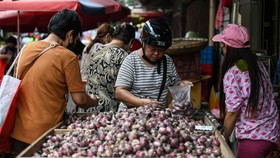 BPS Ungkap Biang Kerok Harga Bawang Kian Mahal