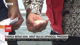 VIDEO: Harga Beras Naik, Dirut Bulog Dipanggil Presiden