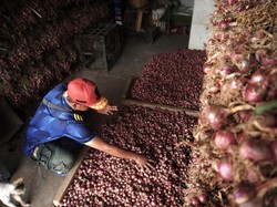 3 Kecamatan di Bandung Barat Bakal Jadi Daerah Penghasil Bawang