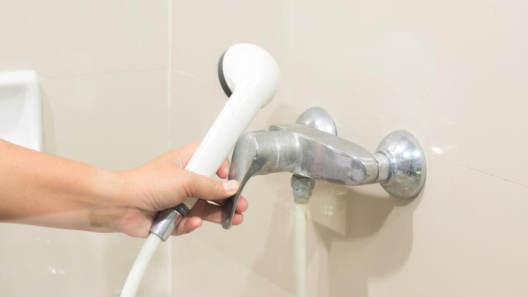 semprotan wc