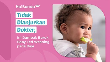Detik Network