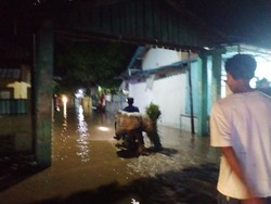 Banjir Rendam 30 Hektare Sawah Baru Ditanam Padi di Dompu