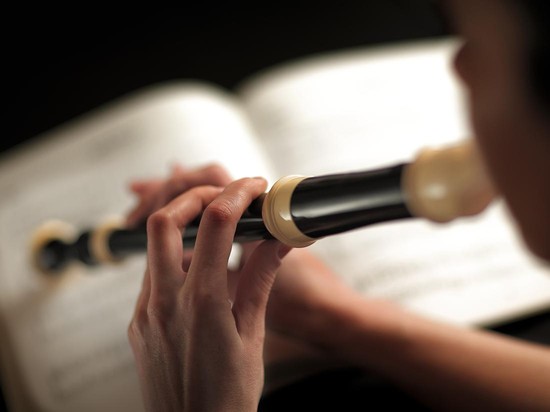 Mau Beli Recorder buat Tahun Ajaran Baru? Kenali Dulu 3 Jenisnya