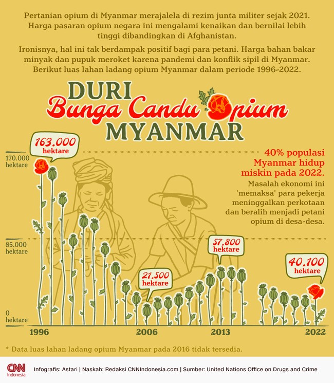 Ladang opium di Myanma merajalela pada masa rezim junta militer Myanmar menguasai negara tersebut sejak 2021.
