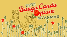 INFOGRAFIS: 'Ledakan' Candu Opium Myanmar di Rezim Junta Militer
