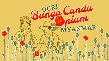INFOGRAFIS: 'Ledakan' Candu Opium Myanmar di Rezim Junta Militer
