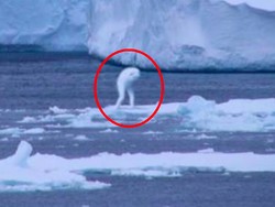 Kata Orang-orang yang Mengaku Melihat Monster Ningen