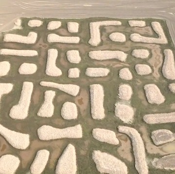img-title Pola Raksasa Misterius Terlihat di Dasar Danau China, Netizen Sebut Peradaban Alien hingga Makam Kuno!