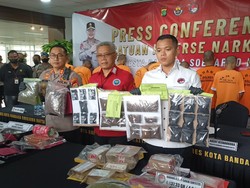 Produsen Ganja di Jaksel Jualan Sudah 1 Tahun, Barang Dibungkus Dus Makanan